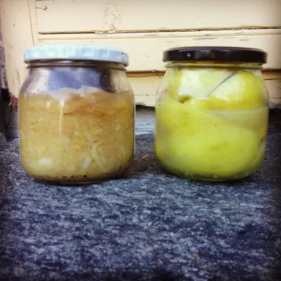 Fermentering.