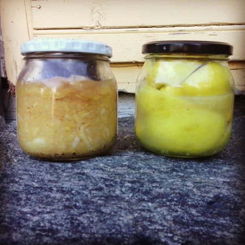 Fermentering.