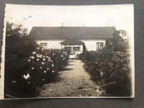 Nygård i mitt hjärta.